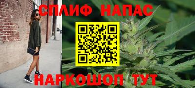 дурь Дубна