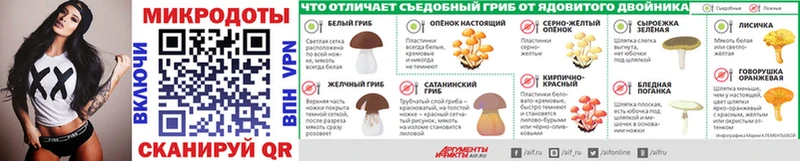darknet Telegram Елабуга Галлюциногенные грибы GOLDEN TEACHER