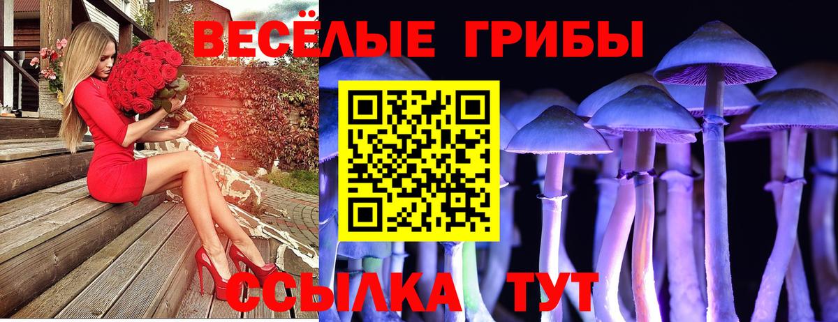 Псилоцибиновые грибы GOLDEN TEACHER  Псилоцибиновые грибы Cubensis  Елабуга  Вход с VPN 