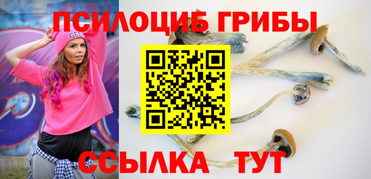 Галлюциногенные грибы GOLDEN TEACHER Елабуга